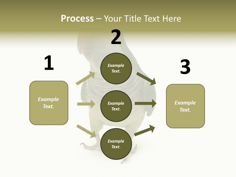 Animal Bird Green PowerPoint Template
