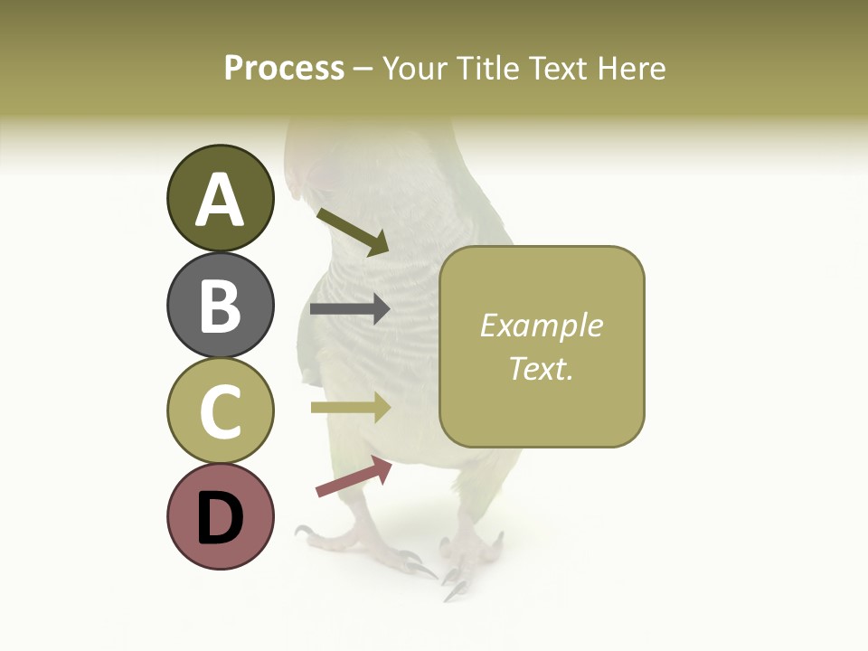Animal Bird Green PowerPoint Template