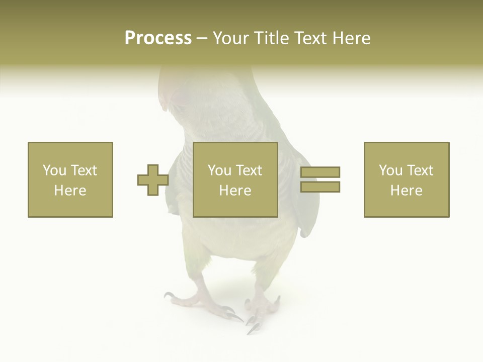 Animal Bird Green PowerPoint Template