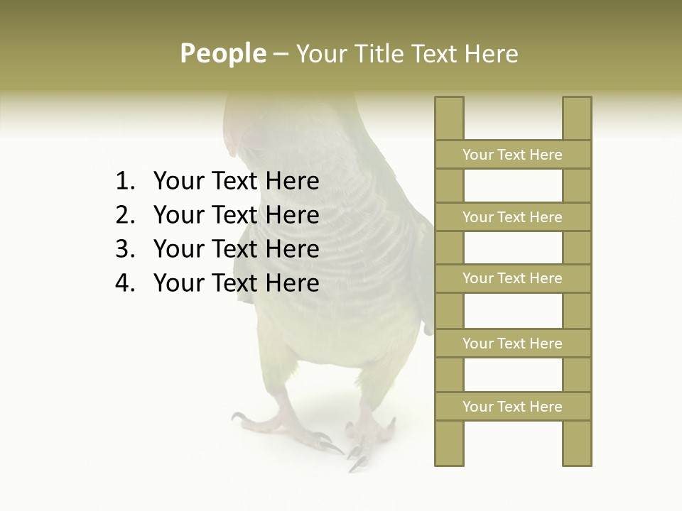 Animal Bird Green PowerPoint Template