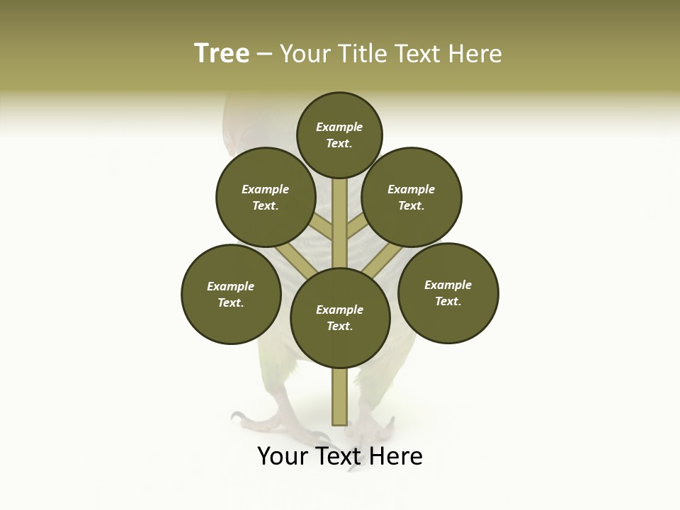 Animal Bird Green PowerPoint Template