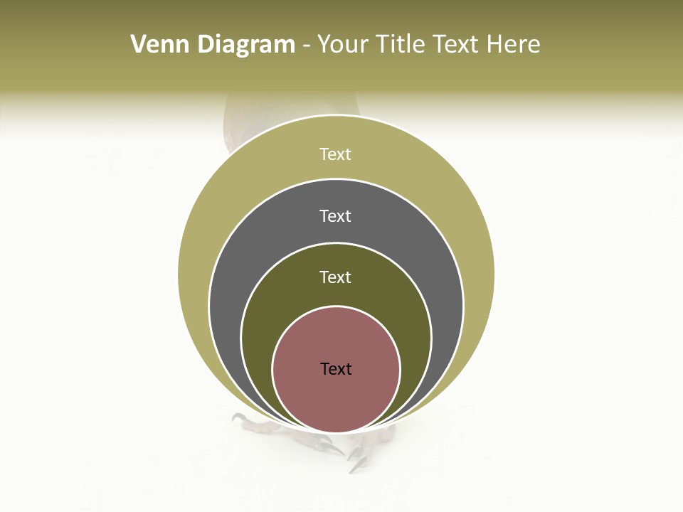 Animal Bird Green PowerPoint Template