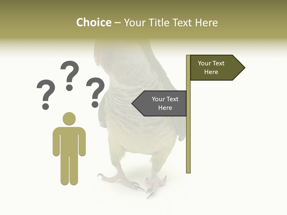 Animal Bird Green PowerPoint Template