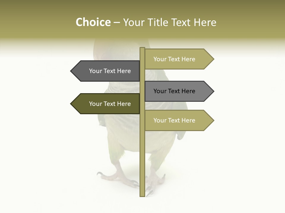 Animal Bird Green PowerPoint Template