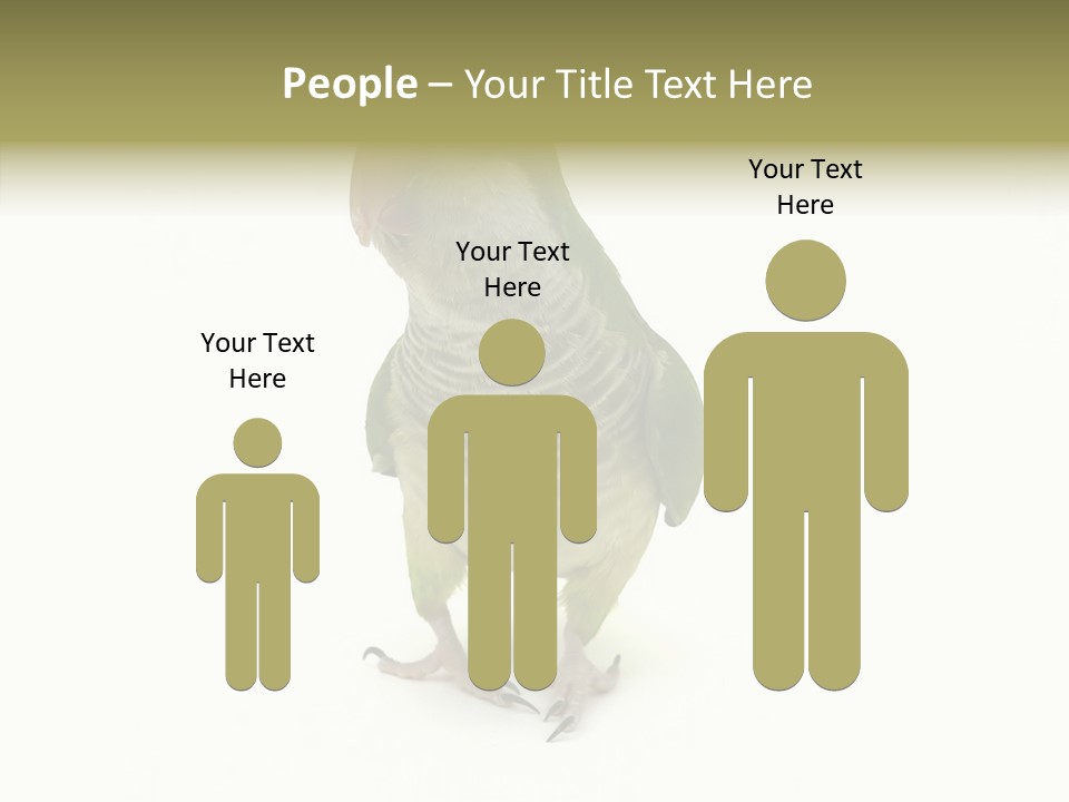 Animal Bird Green PowerPoint Template