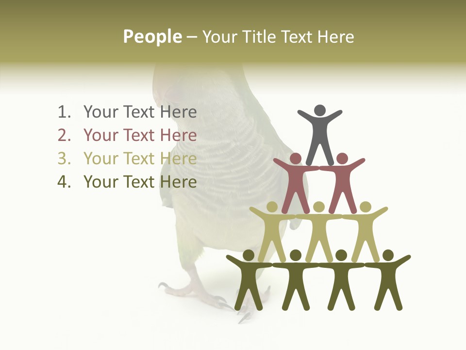 Animal Bird Green PowerPoint Template