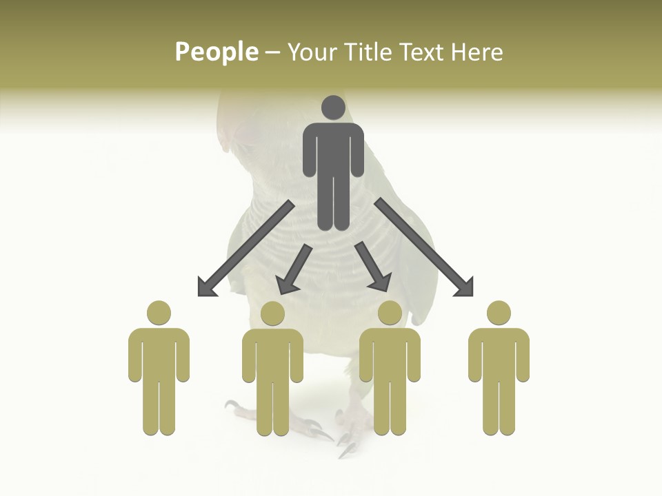 Animal Bird Green PowerPoint Template