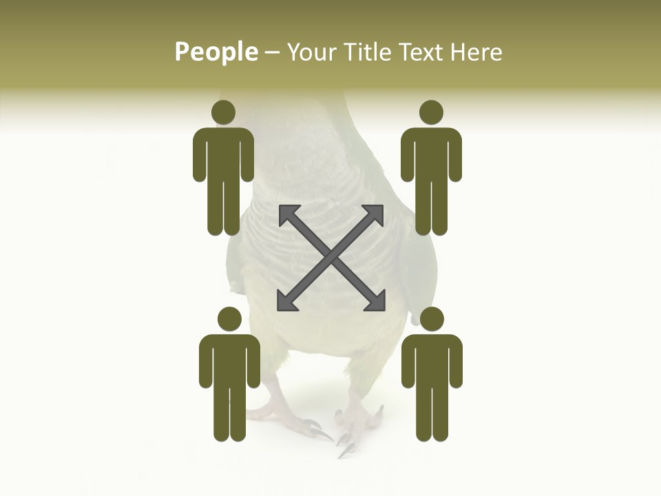 Animal Bird Green PowerPoint Template