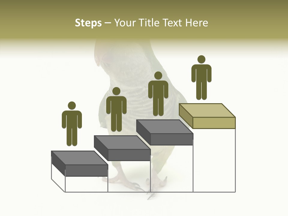 Animal Bird Green PowerPoint Template