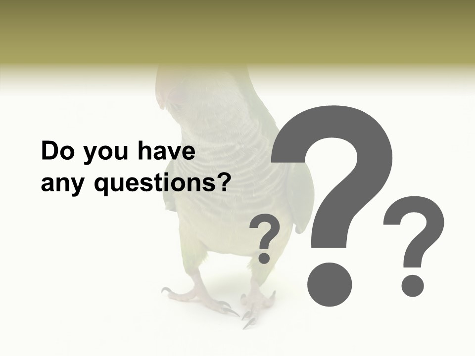 Animal Bird Green PowerPoint Template