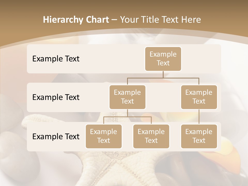 Stones Essences Orchid PowerPoint Template