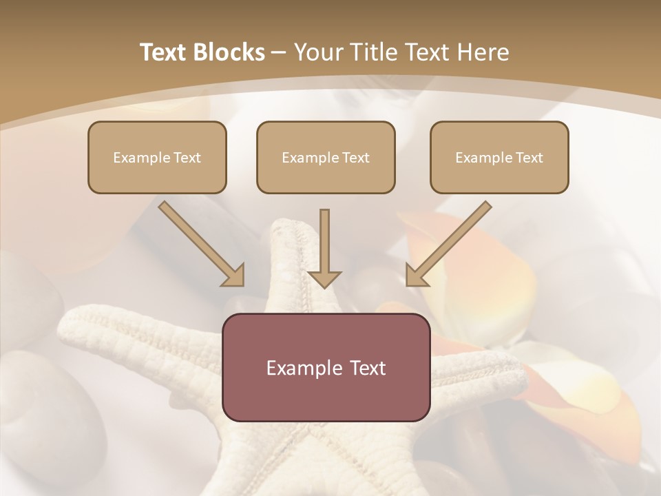 Stones Essences Orchid PowerPoint Template