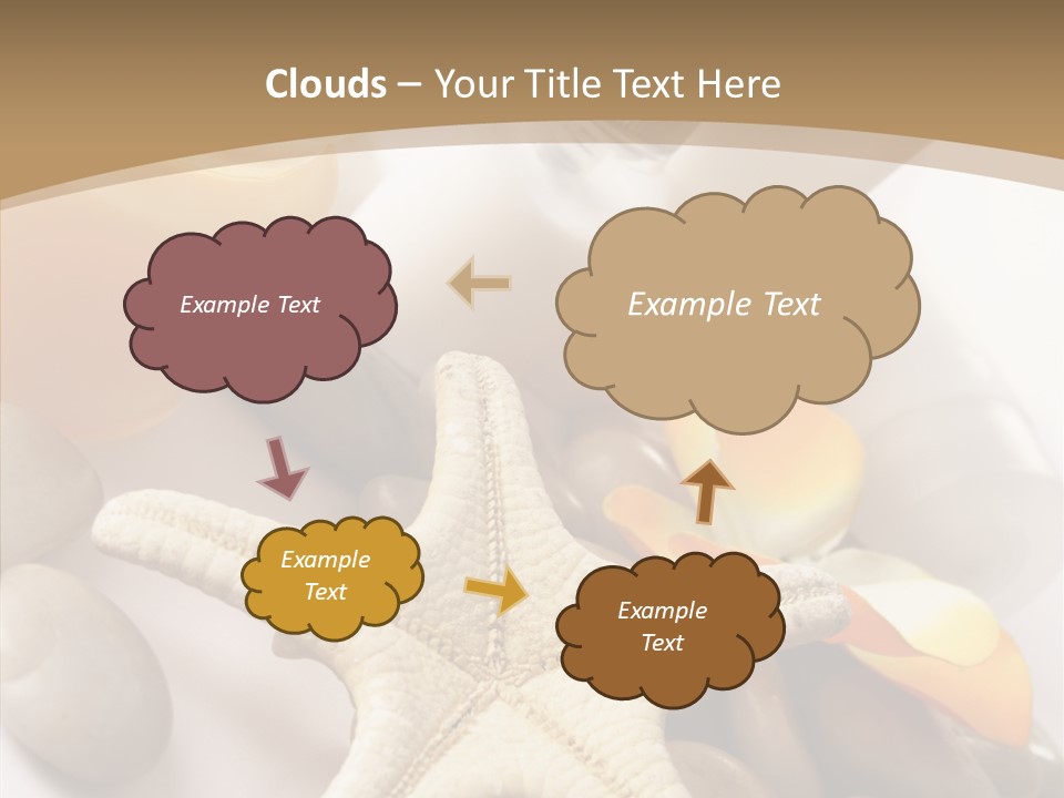 Stones Essences Orchid PowerPoint Template