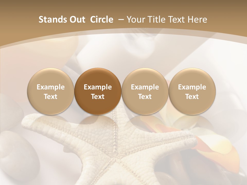 Stones Essences Orchid PowerPoint Template