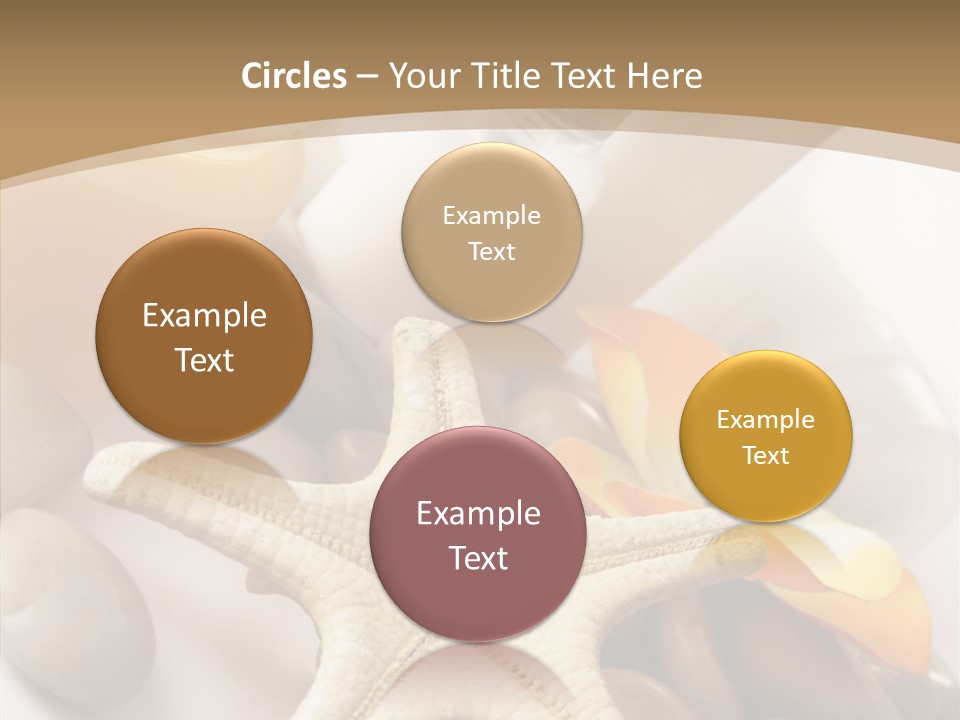 Stones Essences Orchid PowerPoint Template