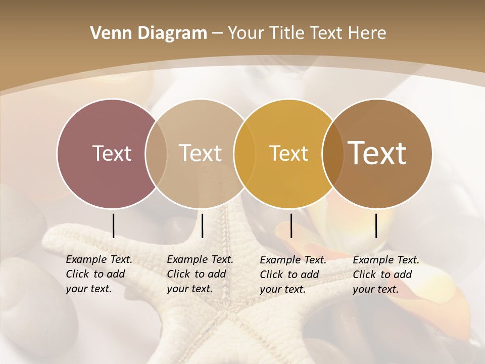 Stones Essences Orchid PowerPoint Template