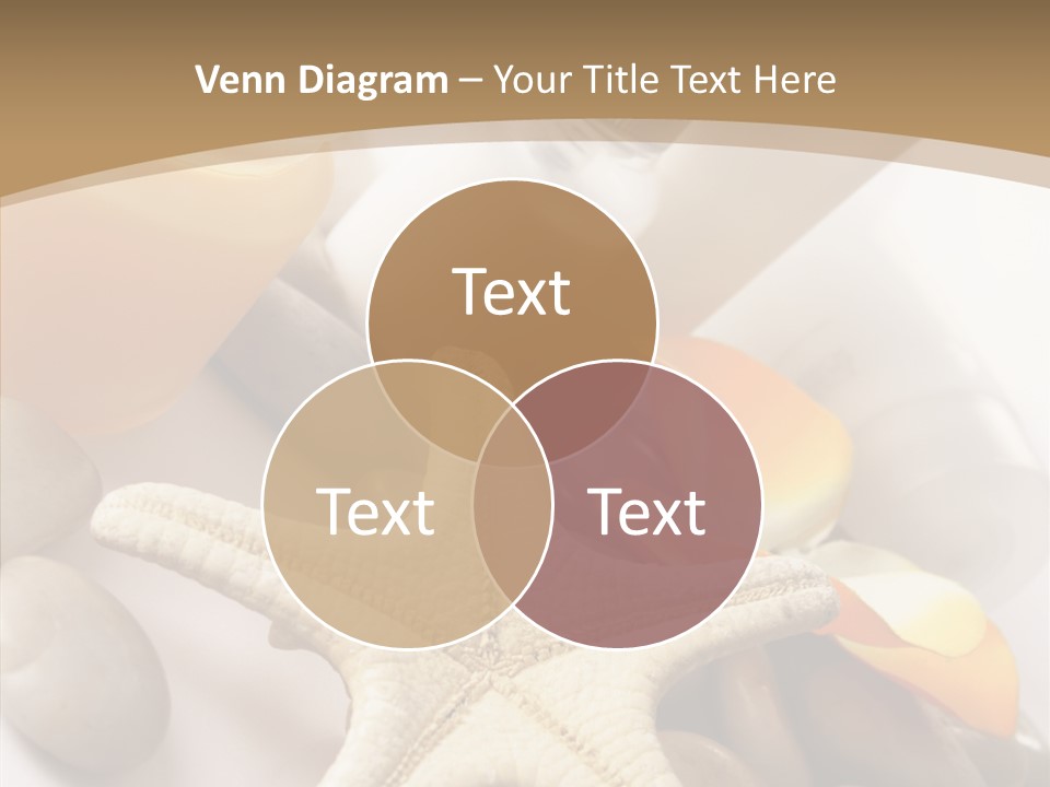 Stones Essences Orchid PowerPoint Template