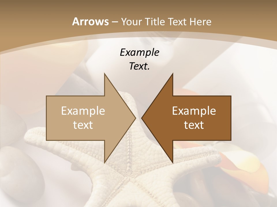 Stones Essences Orchid PowerPoint Template