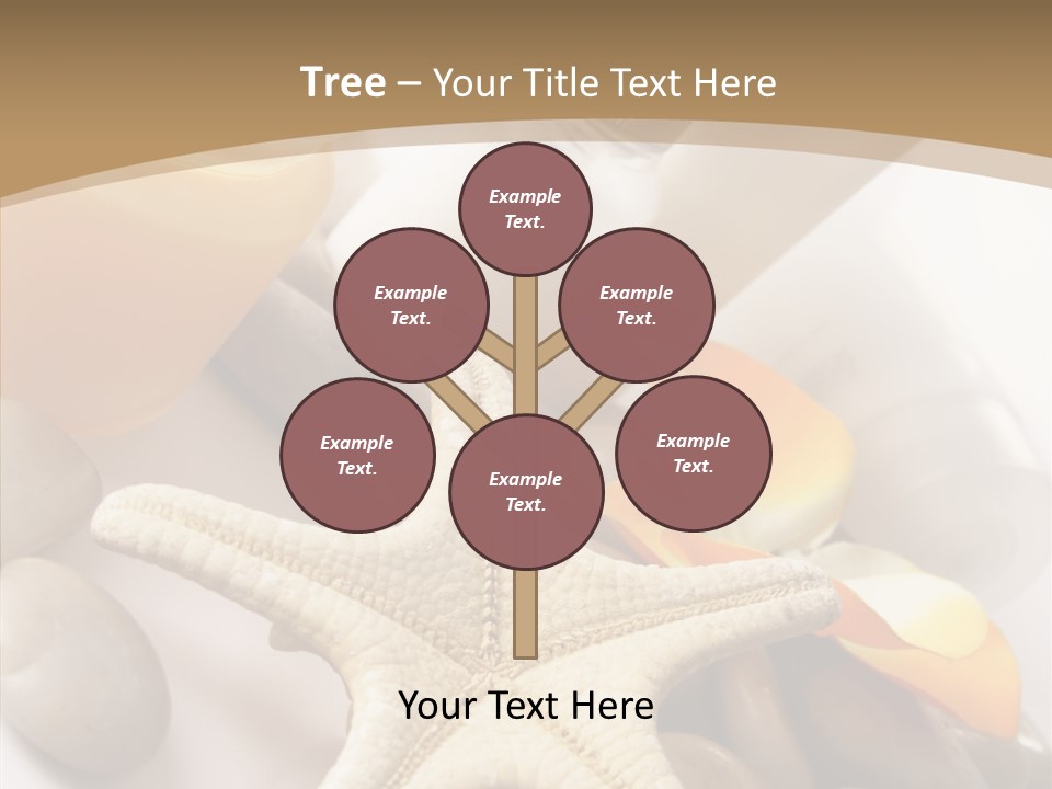 Stones Essences Orchid PowerPoint Template