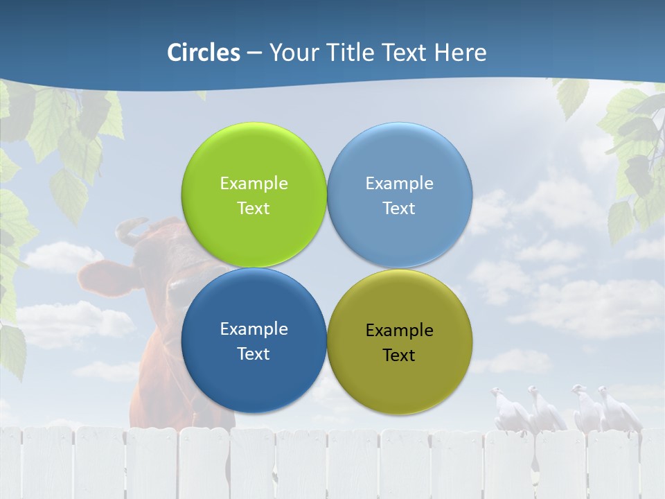 Fence Graze Nobody PowerPoint Template