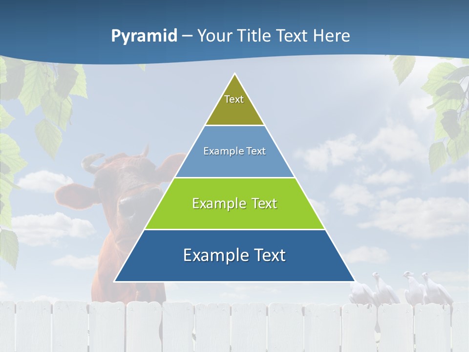 Fence Graze Nobody PowerPoint Template