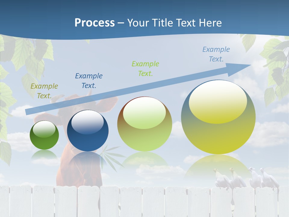 Fence Graze Nobody PowerPoint Template