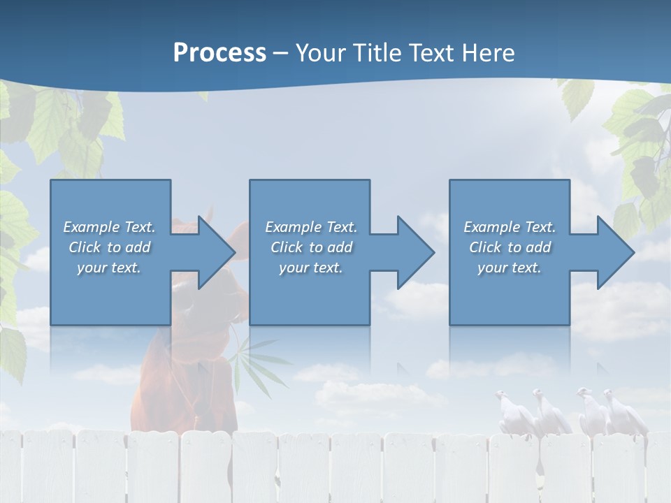 Fence Graze Nobody PowerPoint Template