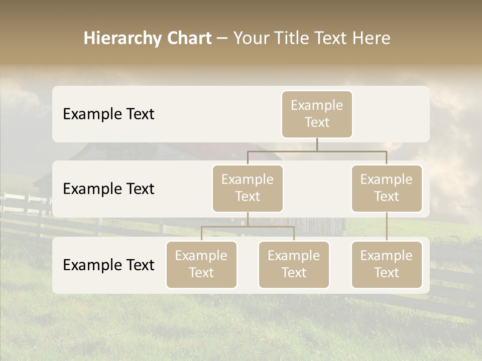 America Field Grass PowerPoint Template