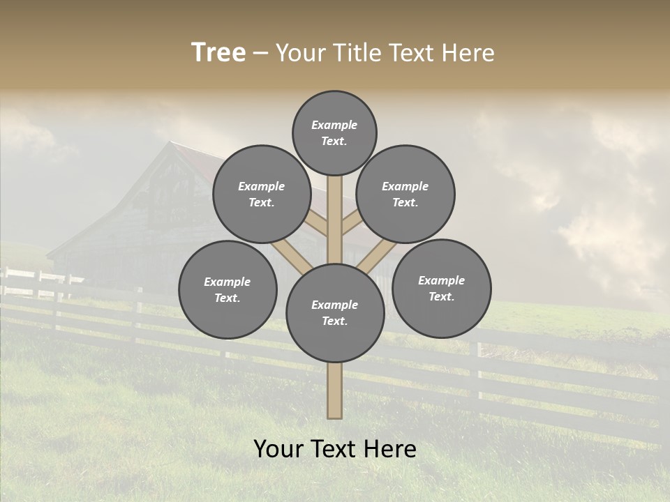 America Field Grass PowerPoint Template