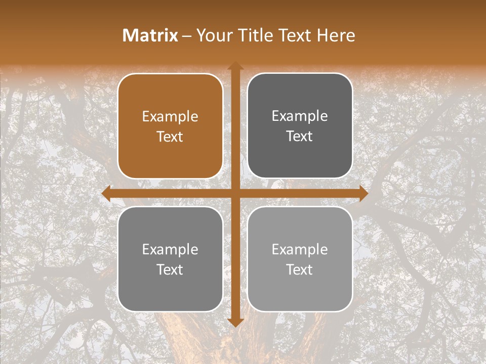 Towering Wood Limb PowerPoint Template