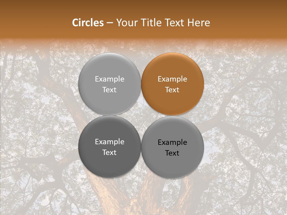 Towering Wood Limb PowerPoint Template