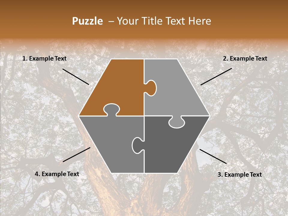 Towering Wood Limb PowerPoint Template