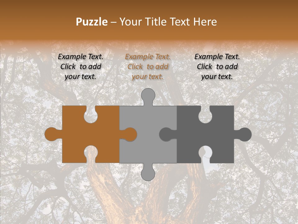 Towering Wood Limb PowerPoint Template