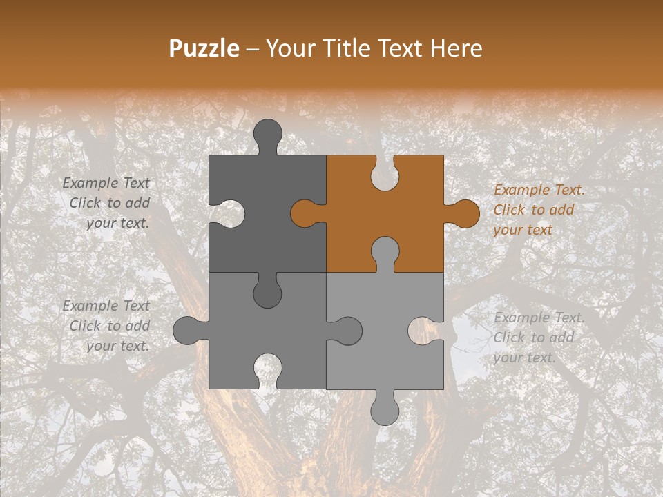 Towering Wood Limb PowerPoint Template