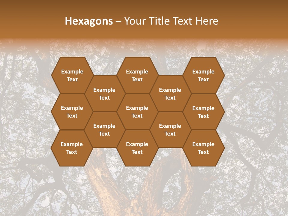 Towering Wood Limb PowerPoint Template