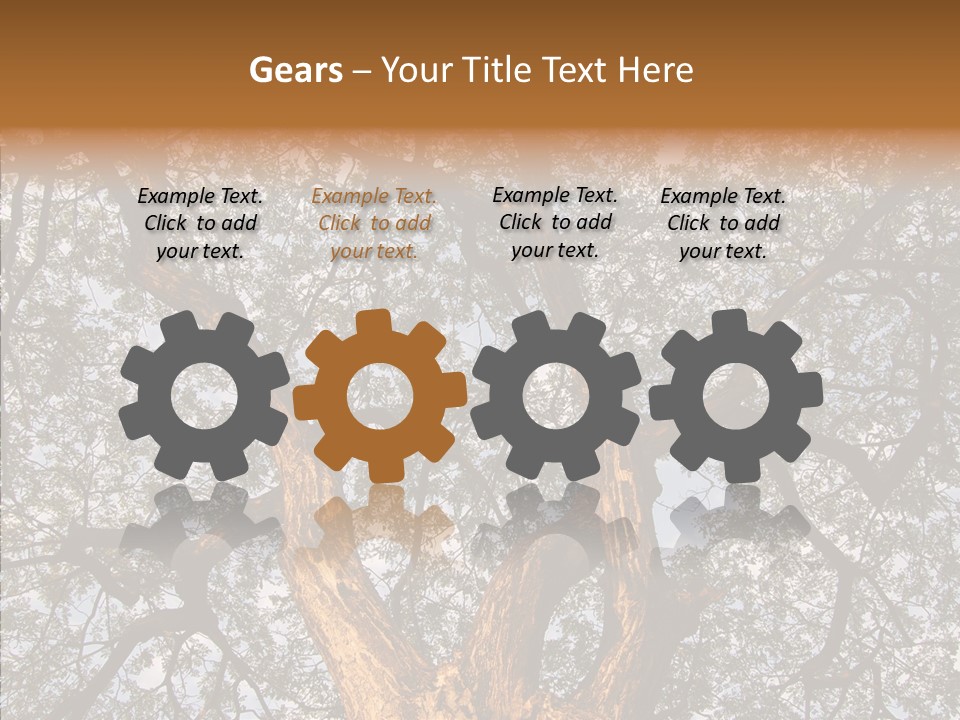 Towering Wood Limb PowerPoint Template