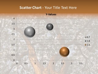 Towering Wood Limb PowerPoint Template