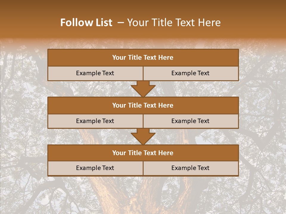 Towering Wood Limb PowerPoint Template
