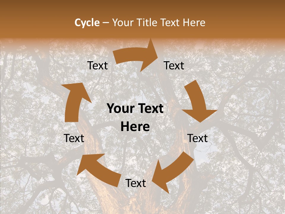 Towering Wood Limb PowerPoint Template