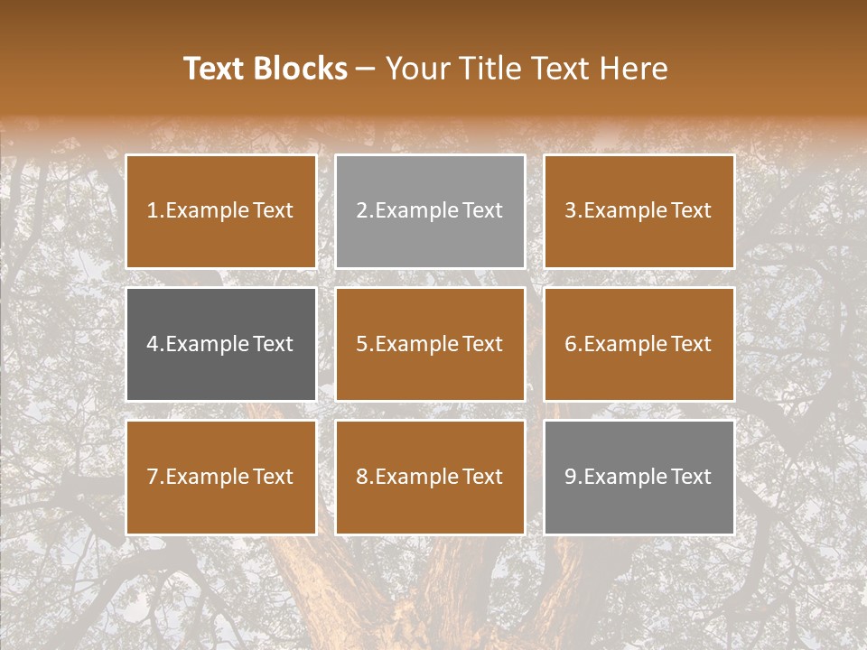 Towering Wood Limb PowerPoint Template