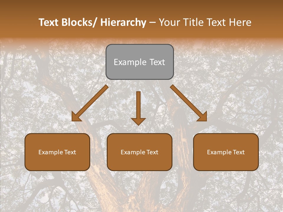 Towering Wood Limb PowerPoint Template