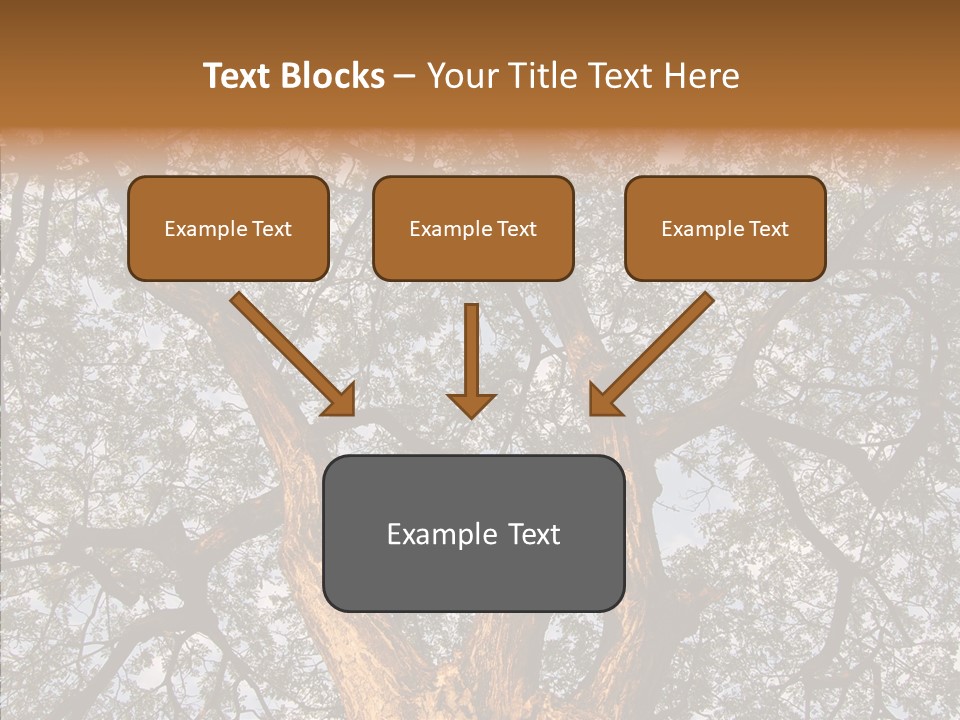 Towering Wood Limb PowerPoint Template