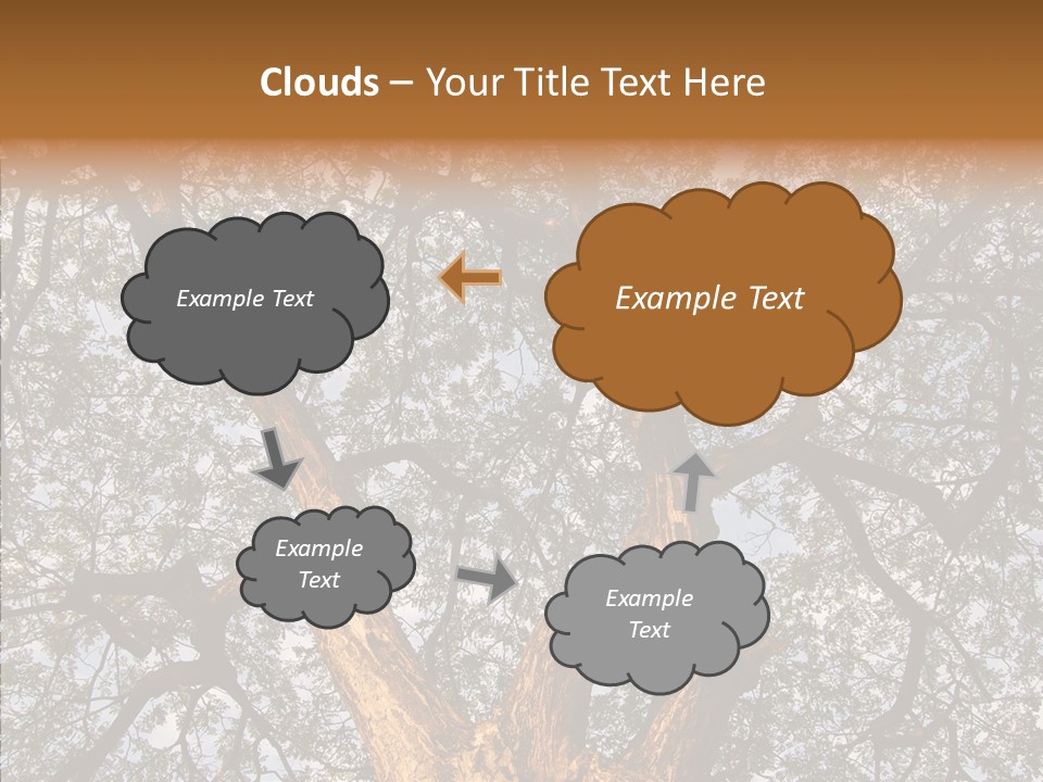 Towering Wood Limb PowerPoint Template