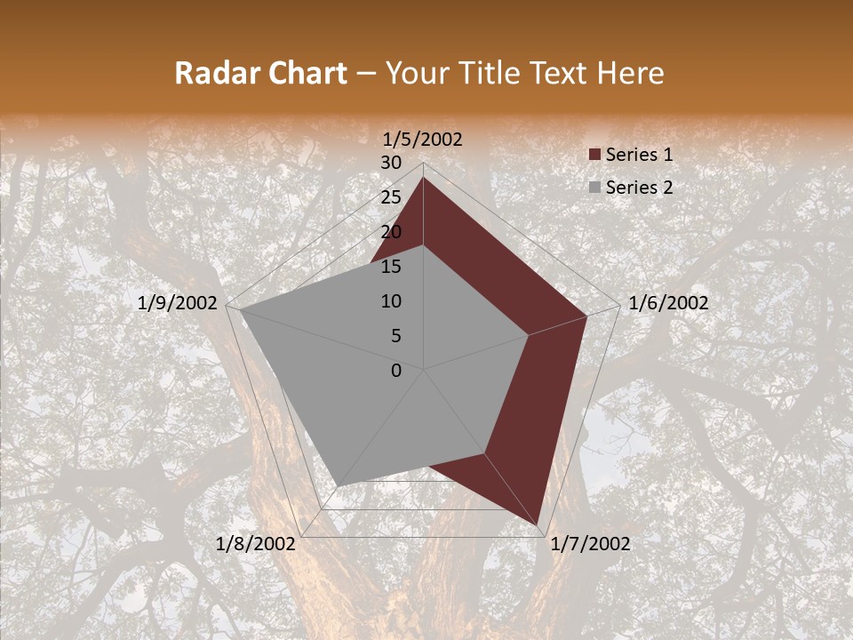 Towering Wood Limb PowerPoint Template