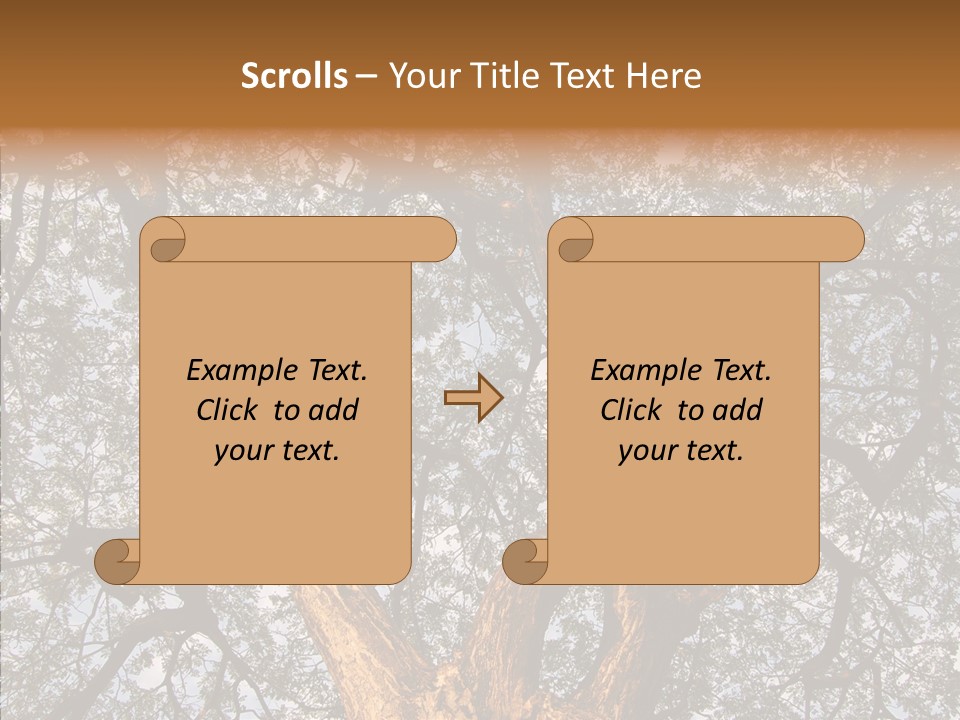 Towering Wood Limb PowerPoint Template