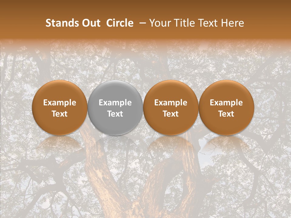 Towering Wood Limb PowerPoint Template