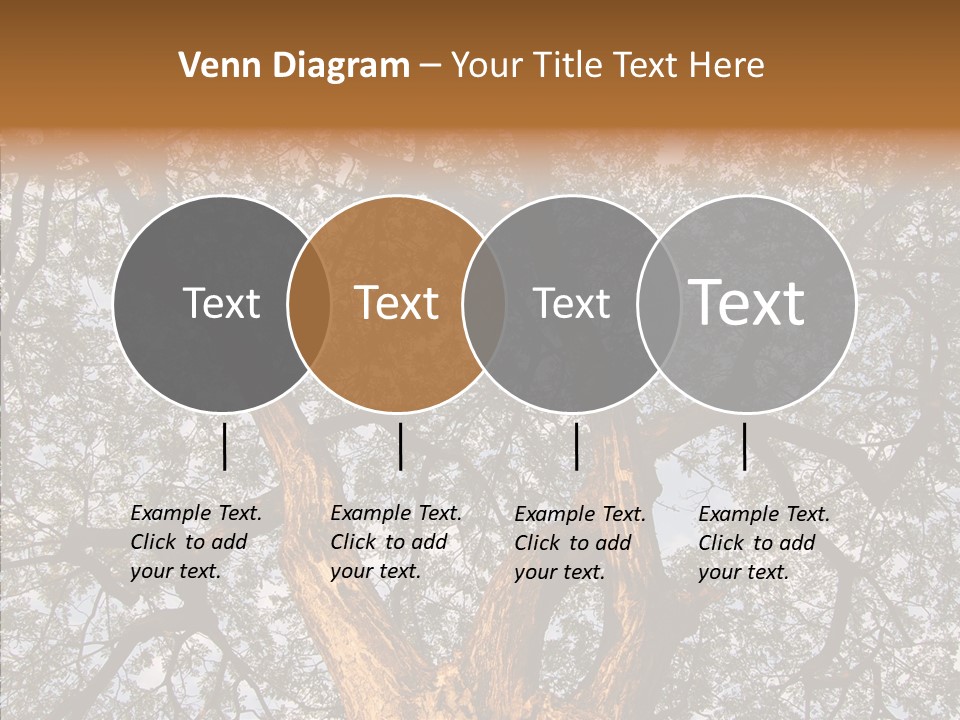 Towering Wood Limb PowerPoint Template