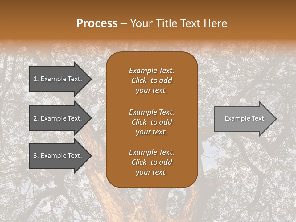Towering Wood Limb PowerPoint Template