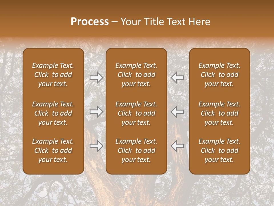 Towering Wood Limb PowerPoint Template