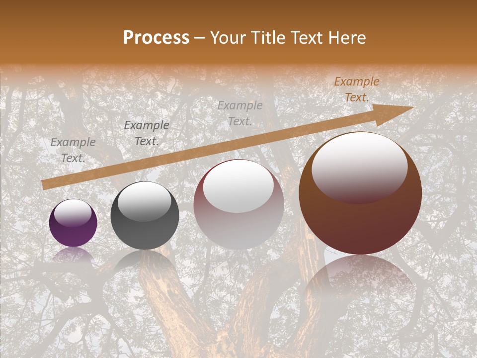 Towering Wood Limb PowerPoint Template